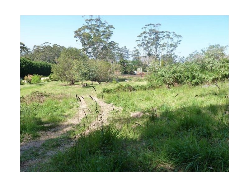 Tamborine Mountain QLD 4272