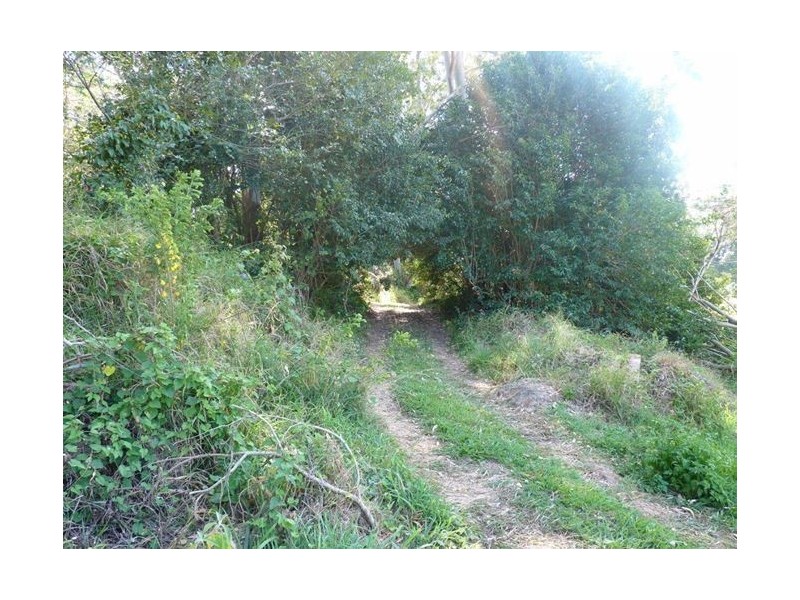 Tamborine Mountain QLD 4272