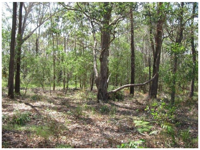 Russell Island QLD 4184
