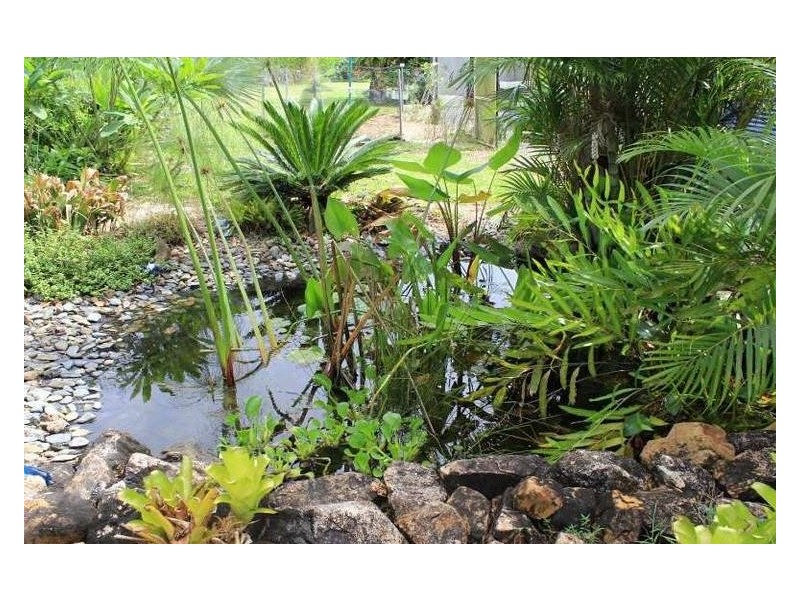 Maria Creeks QLD 4855