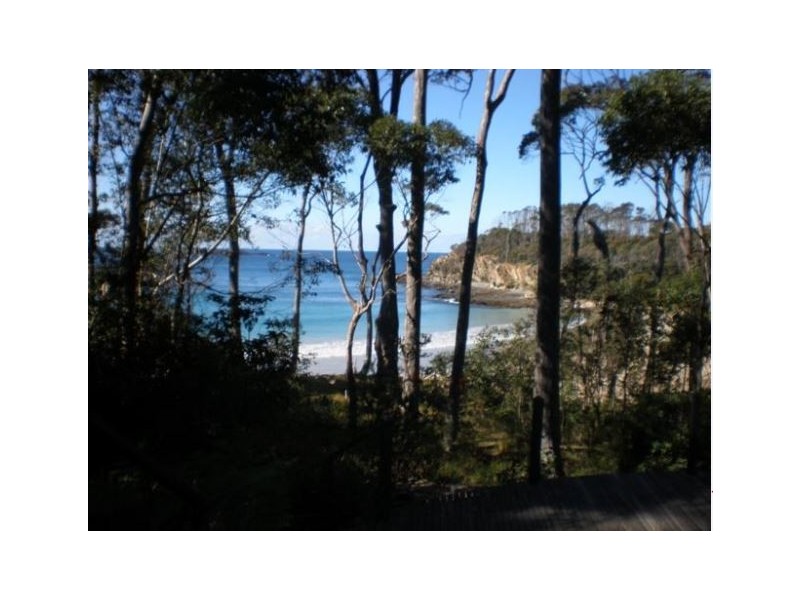 Lilli Pilli NSW 2536