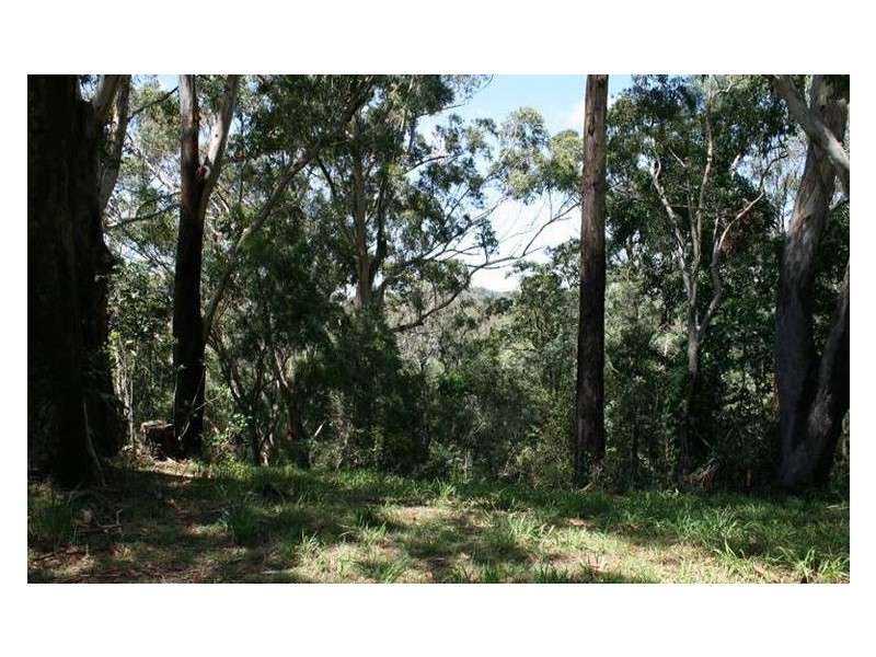 Ocean Shores NSW 2483