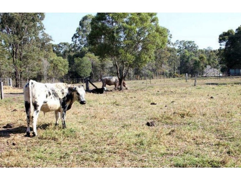Magnolia QLD 4650