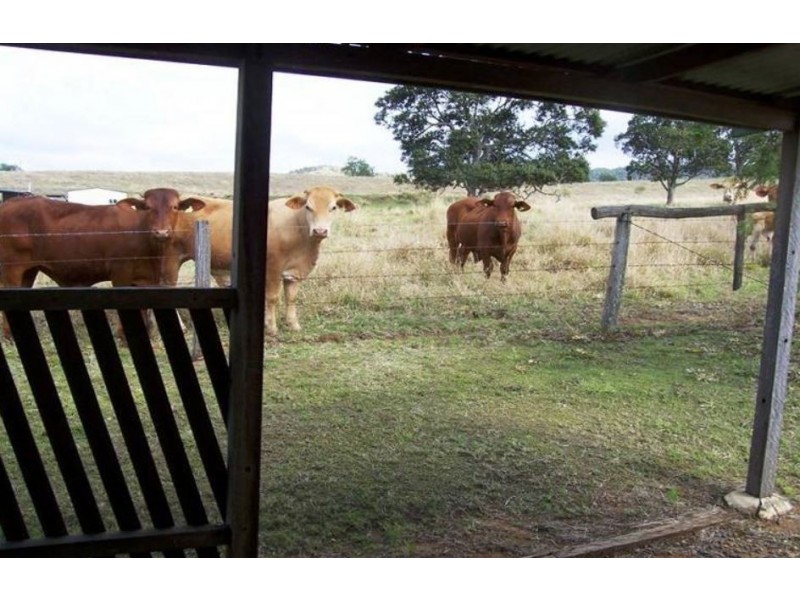 Ma Ma Creek QLD 4347