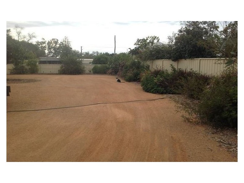 Trangie NSW 2823