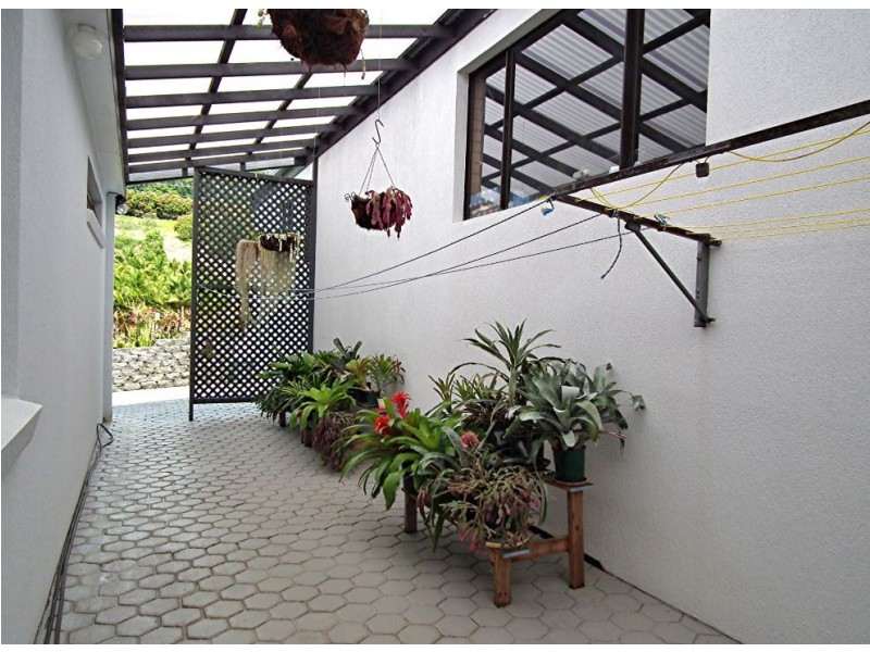 Tweed Heads South NSW 2486