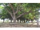Apple Tree Creek QLD 4660