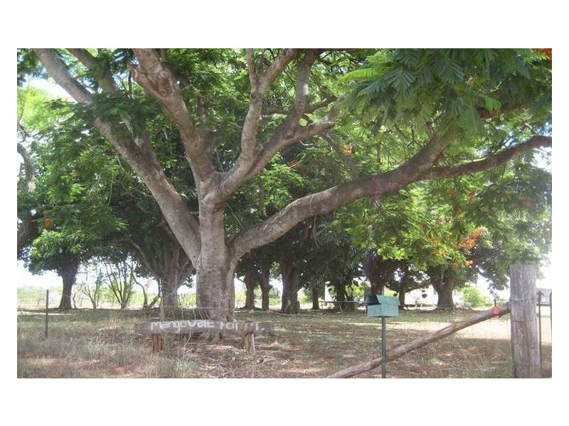 Apple Tree Creek QLD 4660