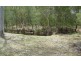 Apple Tree Creek QLD 4660