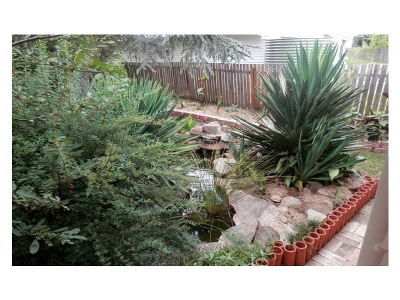 Tenterfield NSW 2372