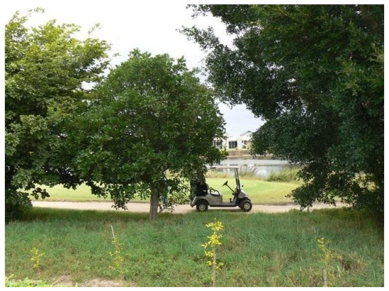 Pelican Waters QLD 4551