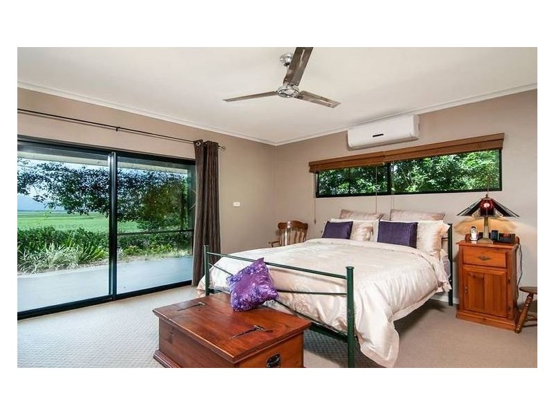 Lower Daintree QLD 4873