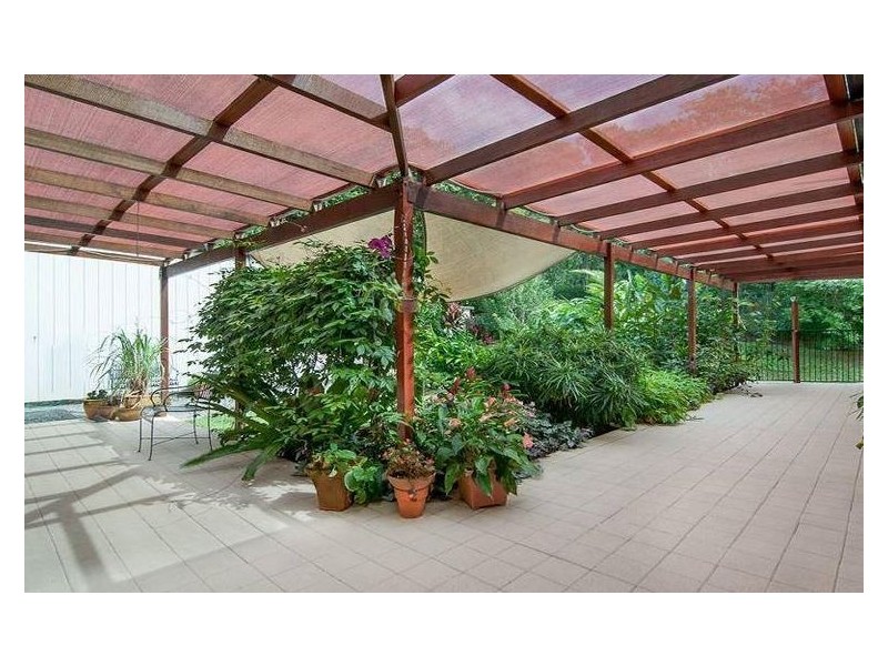 Lower Daintree QLD 4873