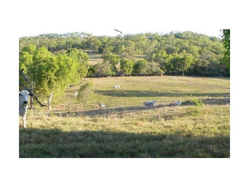 Koumala QLD 4738