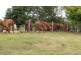 Koumala QLD 4738