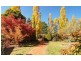 Orange NSW 2800