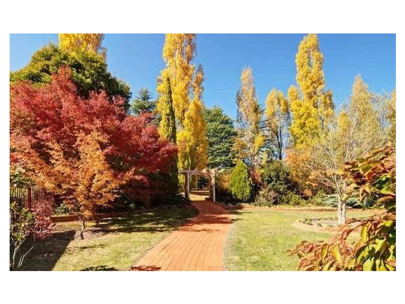 Orange NSW 2800