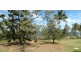 Sarina QLD 4737