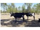 Ducklo QLD 4405