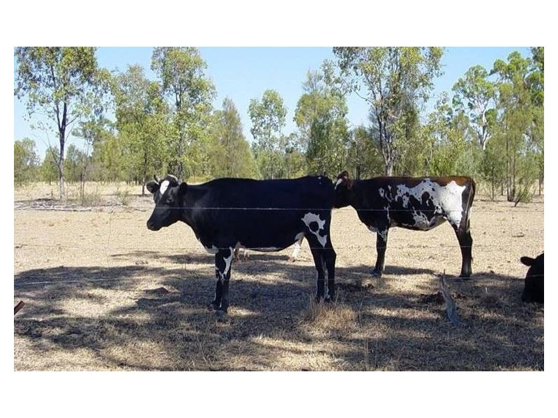 Ducklo QLD 4405