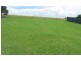 Boonah QLD 4310