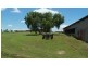 Gracemere QLD 4702