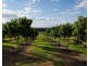 Taromeo QLD 4306