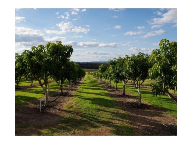 Taromeo QLD 4306