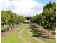 Taromeo QLD 4306