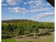 Taromeo QLD 4306