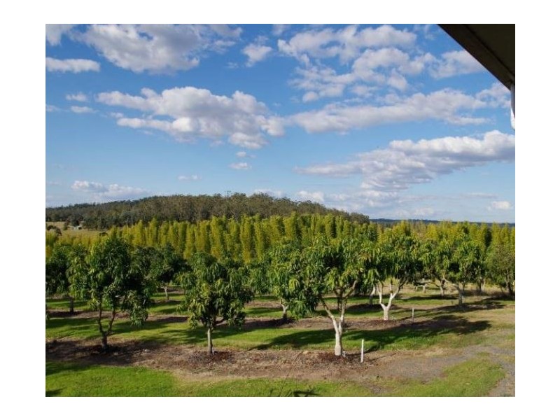 Taromeo QLD 4306