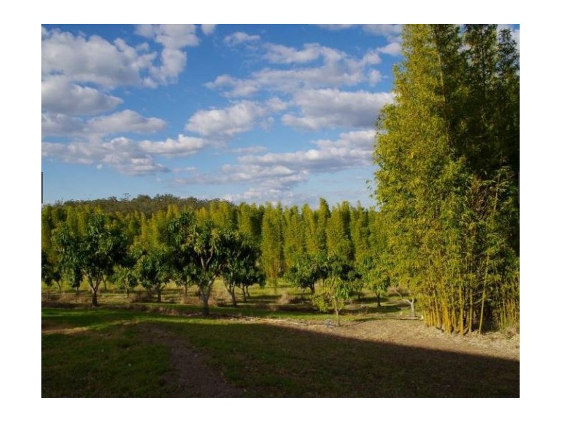 Taromeo QLD 4306