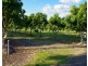 Taromeo QLD 4306