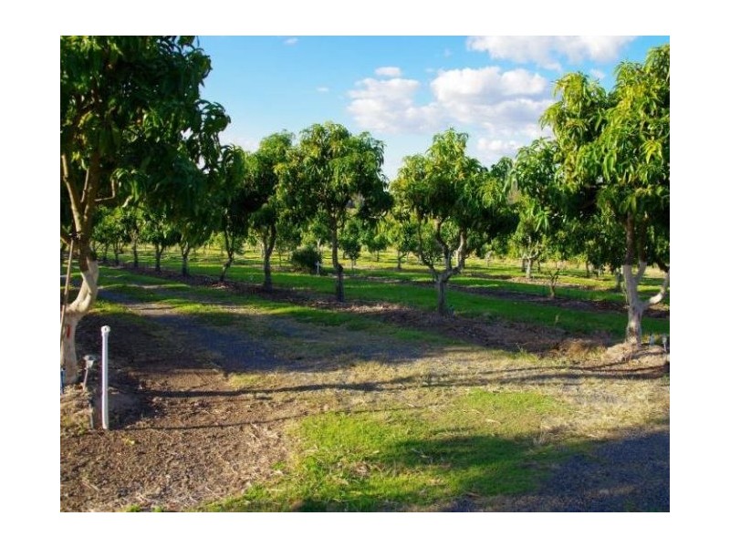 Taromeo QLD 4306