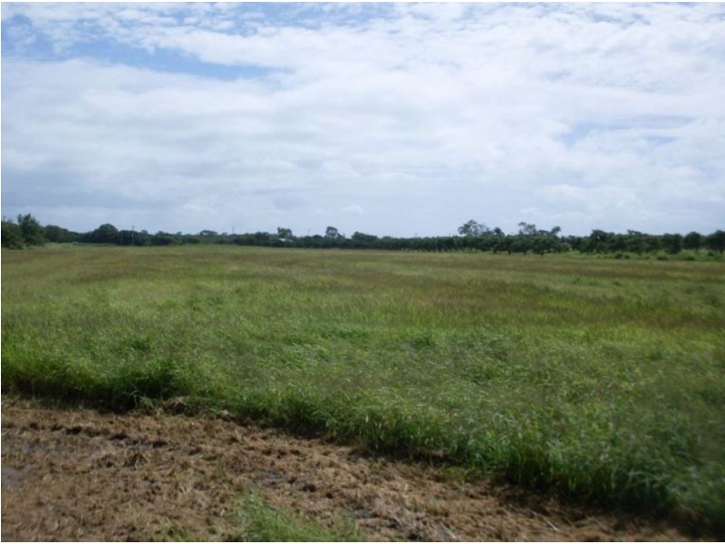 Bowen QLD 4805