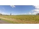 Tinana South QLD 4650