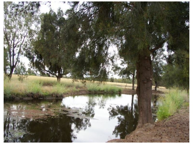 Goondiwindi QLD 4390