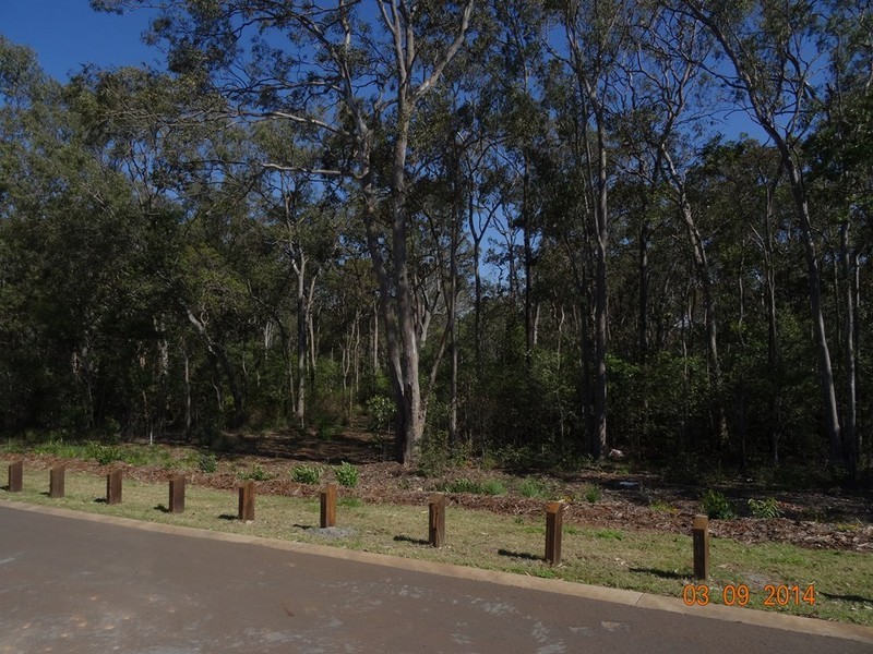 19 Morgan Circuit, Nudgee QLD 4014