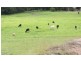 Curra QLD 4570