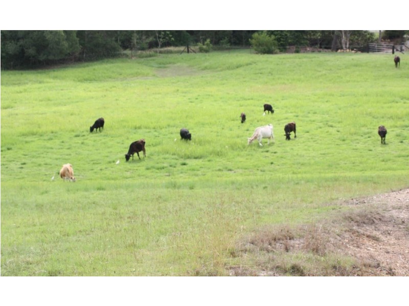 Curra QLD 4570