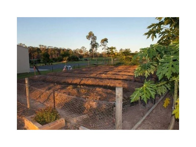 Tinana QLD 4650