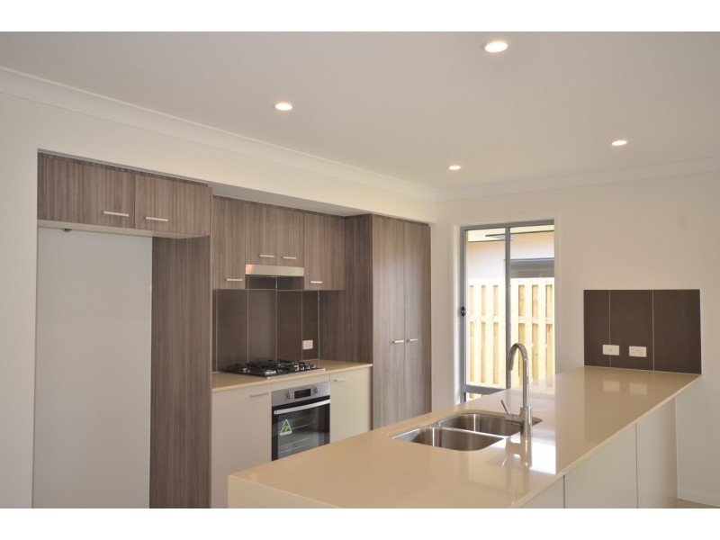 25 Tree Ring Circuit, Mango Hill QLD 4509