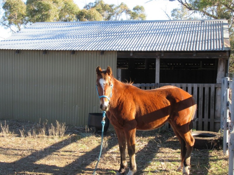 54 Old Mill Road, Cooma NSW 2630
