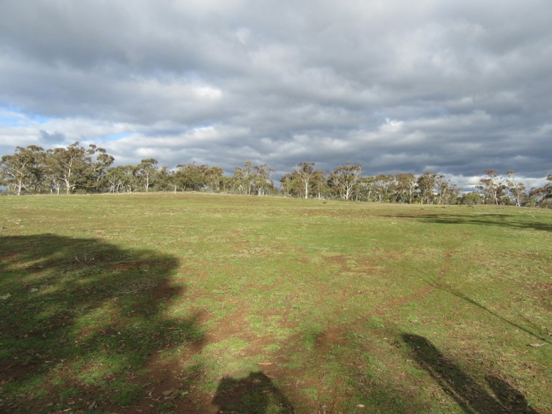 466 Caddigat Rd, Dry Plain NSW 2630