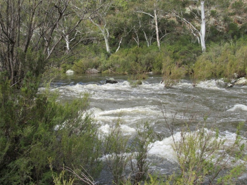 466 Caddigat Rd, Dry Plain NSW 2630