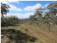 466 Caddigat Rd, Dry Plain NSW 2630