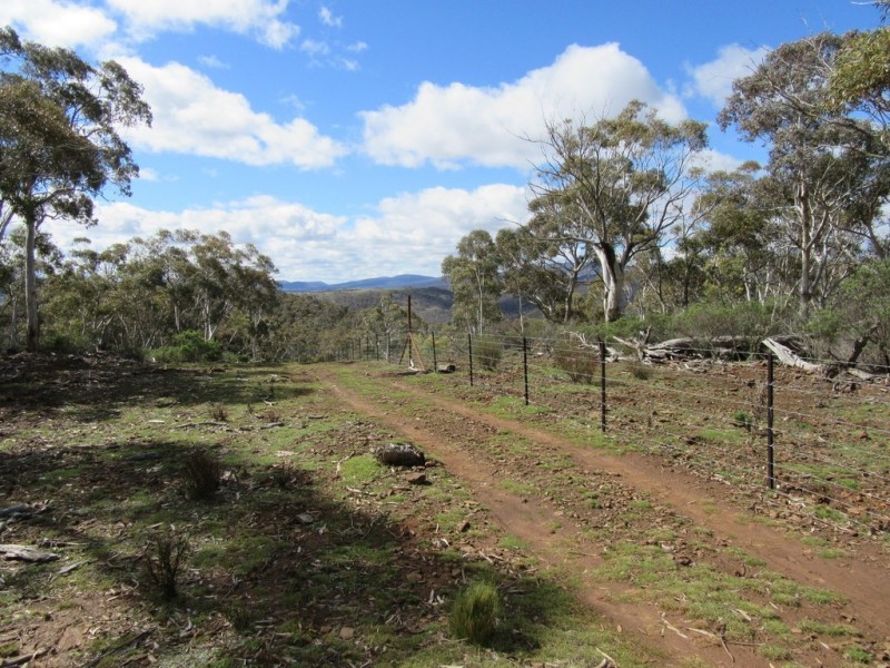 466 Caddigat Rd, Dry Plain NSW 2630