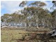 466 Caddigat Rd, Dry Plain NSW 2630