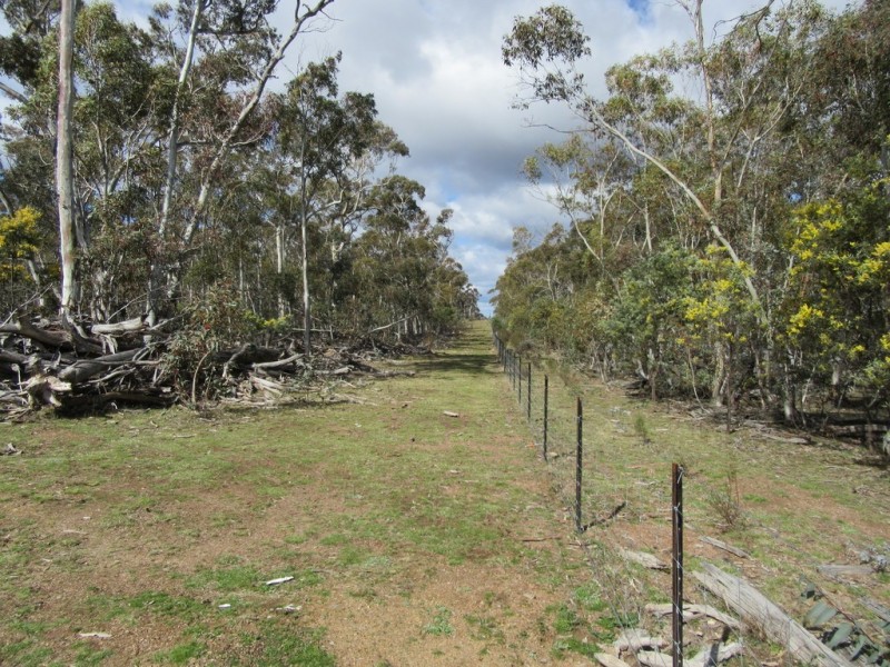 466 Caddigat Rd, Dry Plain NSW 2630