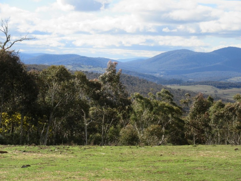 466 Caddigat Rd, Dry Plain NSW 2630